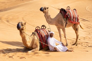 young_arab_man_seating_on_the_sand_in_desert_with_two_camels_safari